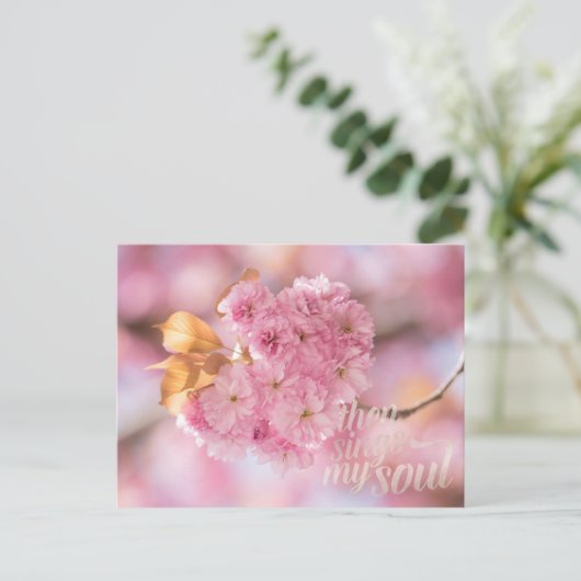 Carte Postale Cherry Blossom Branch Spring Text (Debout devant)