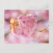 Carte Postale Cherry Blossom Branch Spring Text (Devant)