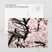 Carte Postale Cherry Blossom édité (Devant / Derrière)