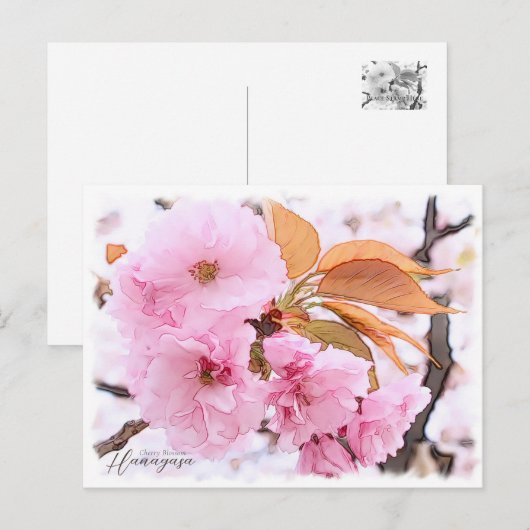 Carte Postale Cherry Blossom "Hanagasa" (Devant / Derrière)