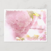 Carte Postale Cherry Blossom "Hayashi-ichigo" ポストカード (Devant)