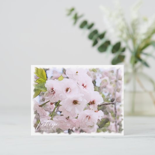 Carte Postale Cherry Blossom "Ichiyo" (Debout devant)