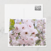 Carte Postale Cherry Blossom "Ichiyo" (Devant / Derrière)