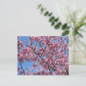 Carte Postale Cherry Blossom : Japon (Debout devant)