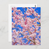 Carte postale Cherry Blossom London UK (Devant / Derrière)