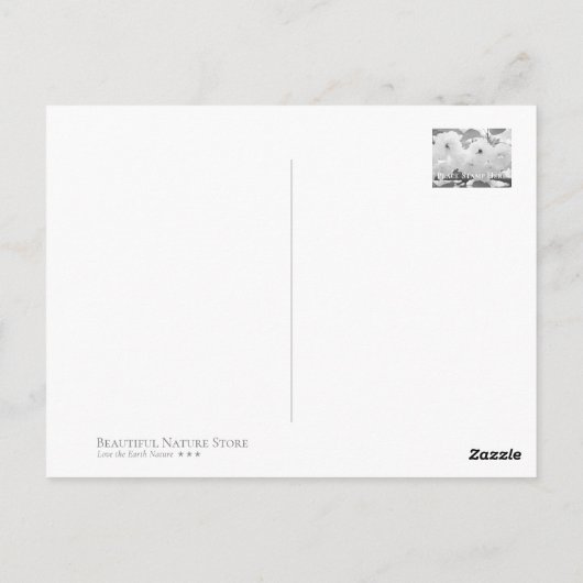 Carte Postale Cherry Blossom "Ojochin" ポストカード (Dos)