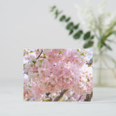 Carte Postale Cherry Blossom: Omoigawa (Debout devant)