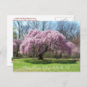 Carte Postale Cherry Blossom Village 03 (Devant / Derrière)