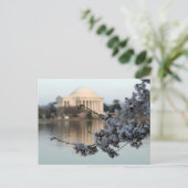Carte Postale Cherry Blossom Washington DC (Debout devant)