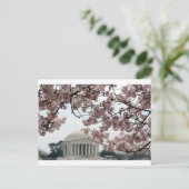 Carte Postale Cherry Blossom Washington DC (Debout devant)
