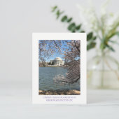 CARTE POSTALE CHERRY BLOSSOM WASHINGTON DC (Debout devant)