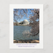 CARTE POSTALE CHERRY BLOSSOM WASHINGTON DC (Devant)