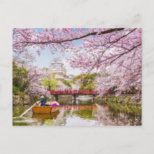 Carte Postale Cherry Blossom Zen Garden Sakura Peinture