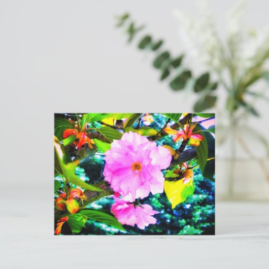 CARTE POSTALE CHERRY BLOSSOMS (Debout devant)