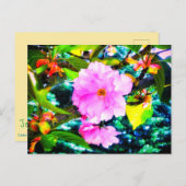 CARTE POSTALE CHERRY BLOSSOMS (Devant / Derrière)