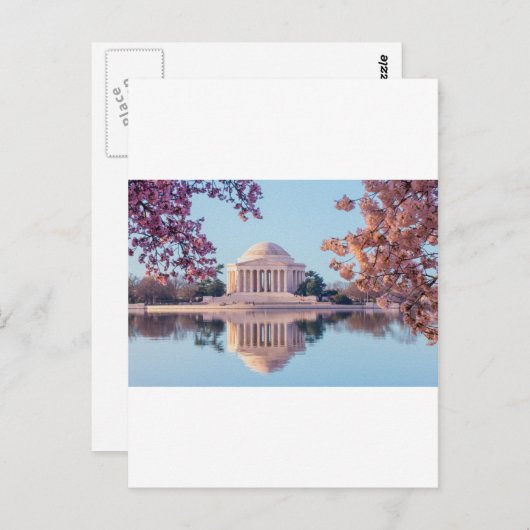 Carte Postale Cherry Blossoms à Washington DC (Devant / Derrière)