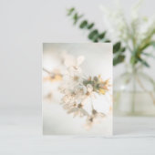 Carte Postale Cherry Blossoms Nature Photo (Debout devant)