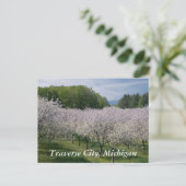 Carte Postale "Cherry Blossoms" Postcard (Debout devant)