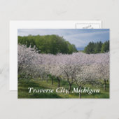 Carte Postale "Cherry Blossoms" Postcard (Devant / Derrière)