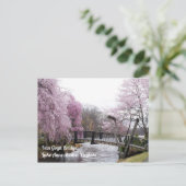 Carte Postale Cherry Blossoms Van Gogh Bridege Lake Anne Reston (Debout devant)