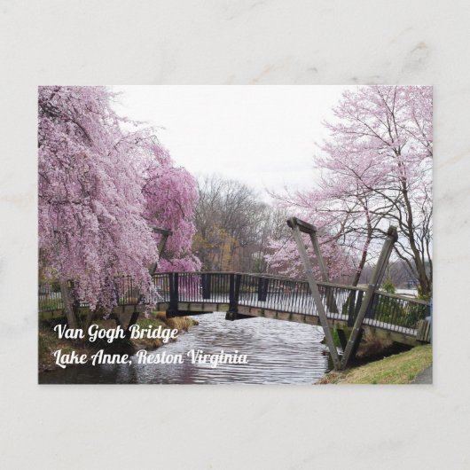 Carte Postale Cherry Blossoms Van Gogh Bridege Lake Anne Reston (Devant)