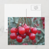 Carte Postale Cherry sauvage (Devant / Derrière)
