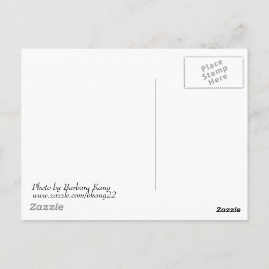 Carte postale Cherry Tree (Dos)