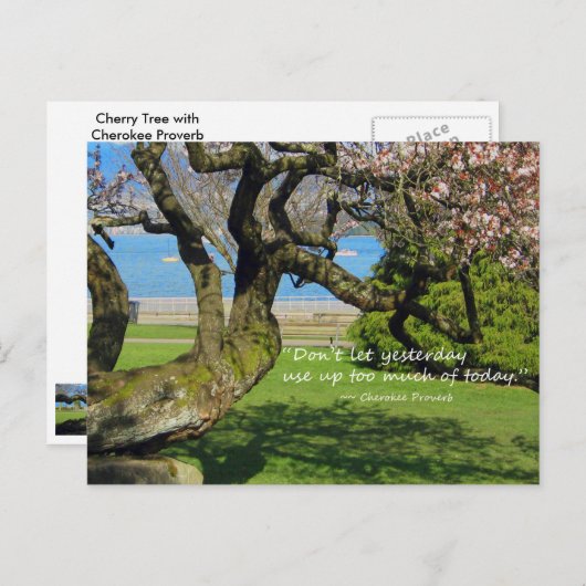 Carte postale Cherry Tree Cherokee Proverbe (Devant / Derrière)