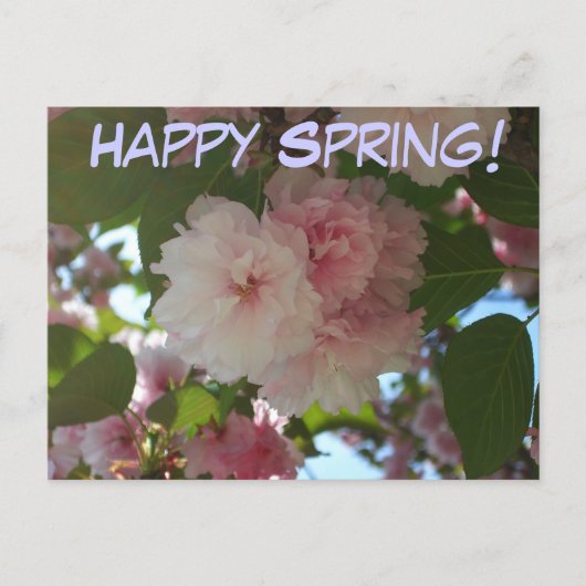 Carte Postale Cherry Tree I Spring Floral (Devant)