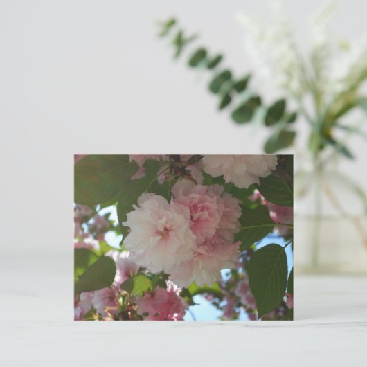 Carte Postale Cherry Tree I Spring Floral (Debout devant)