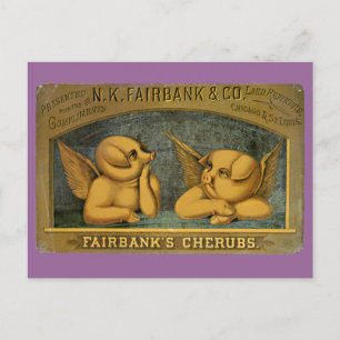 Carte postale Cherub Angel Pigs