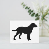 Carte Postale Chesapeake Bay Retriever (Debout devant)