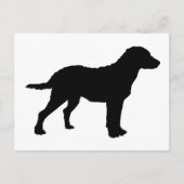 Carte Postale Chesapeake Bay Retriever (Devant)