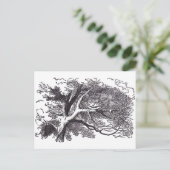 Carte Postale Cheshire Cat (Debout devant)