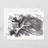 Carte Postale Cheshire Cat (Devant / Derrière)