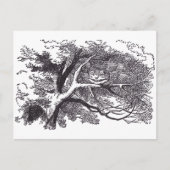 Carte Postale Cheshire Cat (Devant)