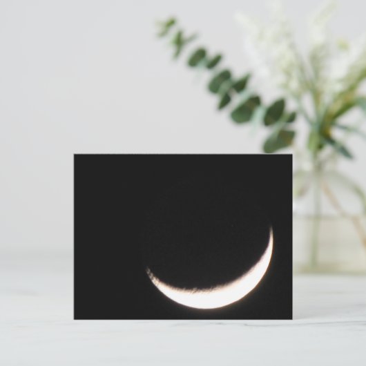 Carte Postale cheshire moon... (Debout devant)