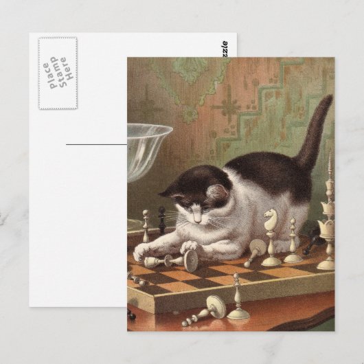 Carte postale Chess Cat (Devant / Derrière)