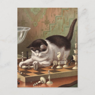 Carte postale Chess Cat