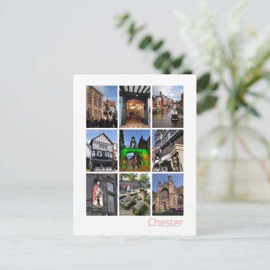 Carte Postale Chester (Debout devant)