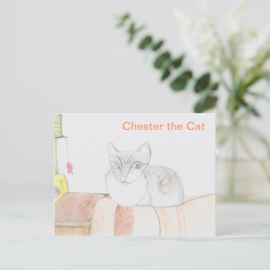 Carte Postale Chester le chat (Debout devant)