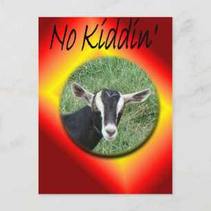 Carte postale Chester-personnaliser toute occasion