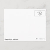 Carte Postale Chesterton Windmill Warwickshire (Dos)