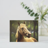 Carte Postale cheval (Debout devant)