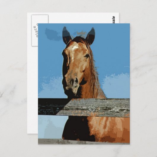 Carte Postale Cheval (Devant / Derrière)