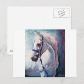 Carte Postale Cheval (Devant / Derrière)