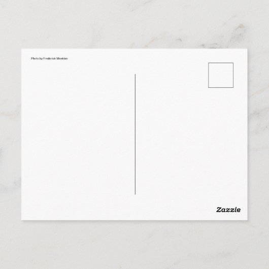 Carte Postale Cheval (Dos)