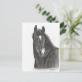 Carte Postale Cheval (Debout devant)