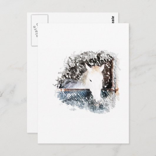 Carte Postale Cheval (Devant / Derrière)