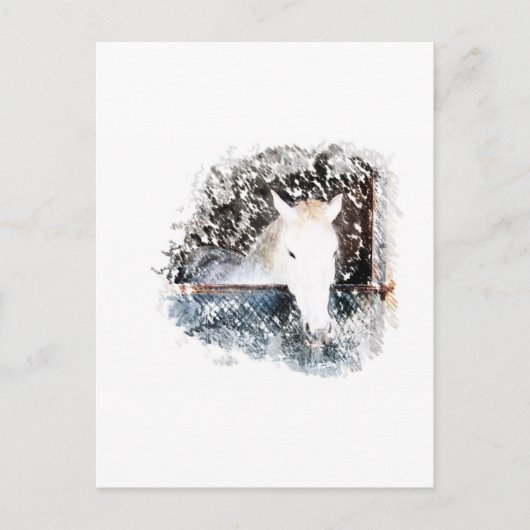 Carte Postale Cheval (Devant)